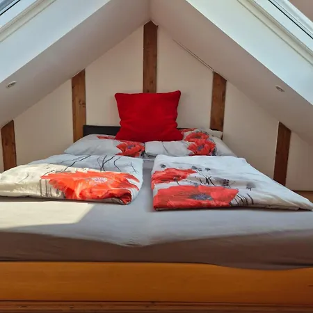 Apartament Romantic Loft I 115sqm Graz